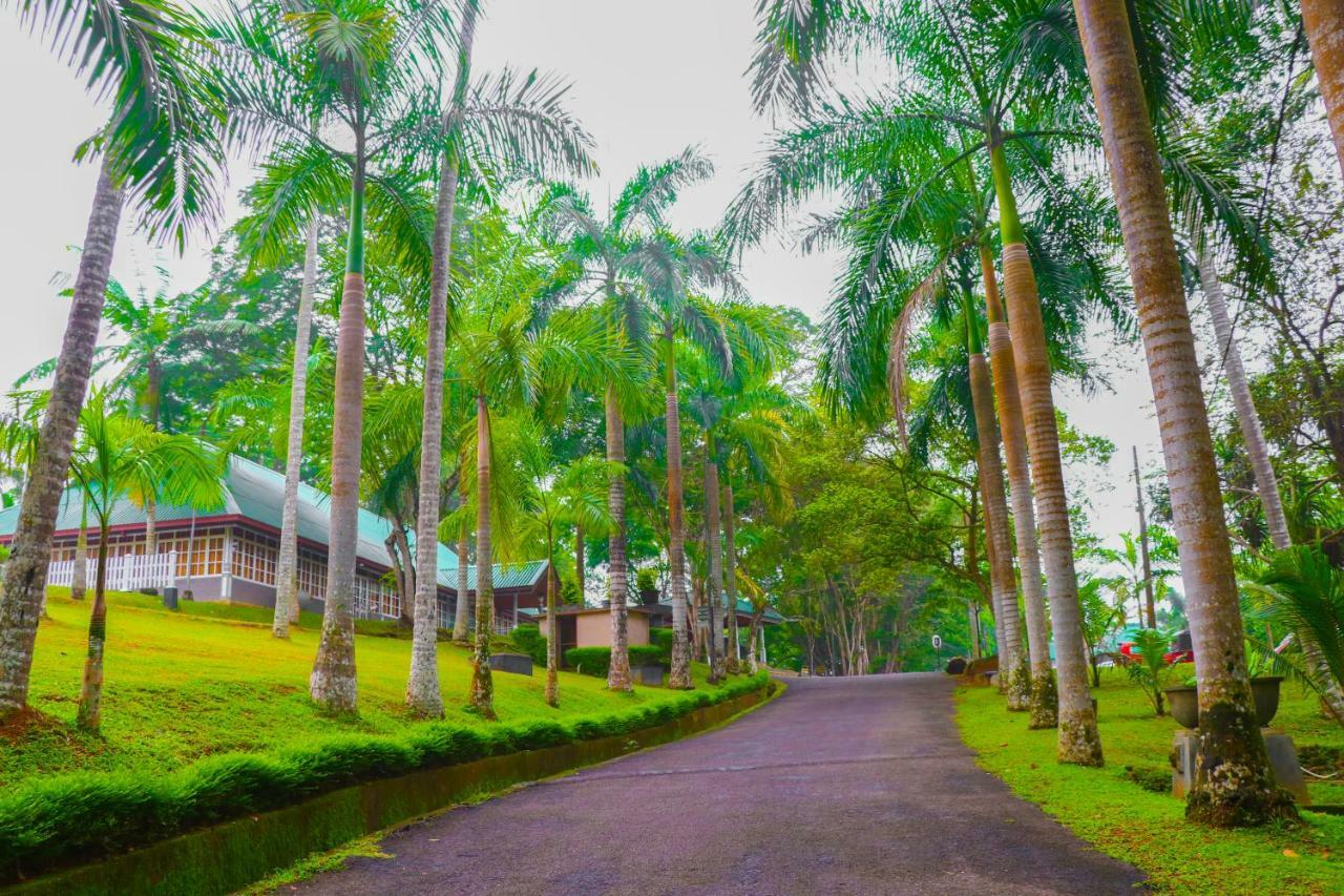 Rajanawa Resort Ratnapura Buitenkant foto